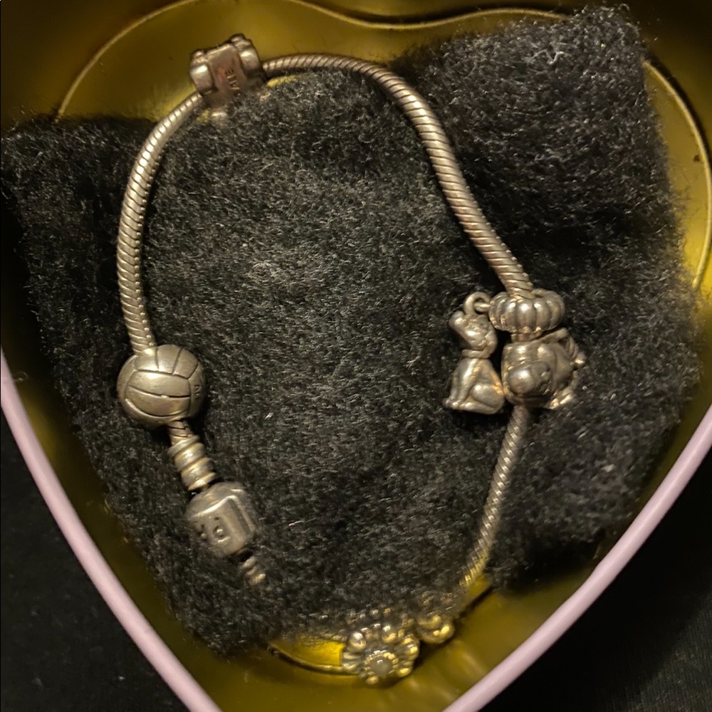 Pandora Bracelet